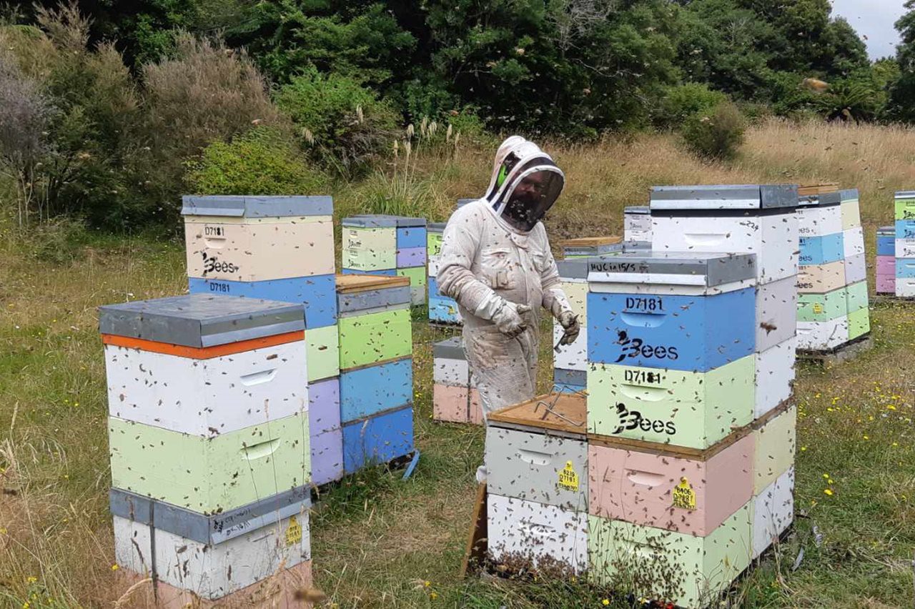 Jbees Honey Hives