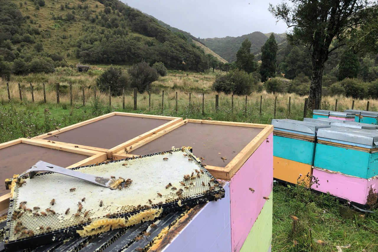 Jbees Honey Hives